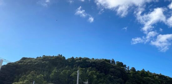 坂田城(千葉県)