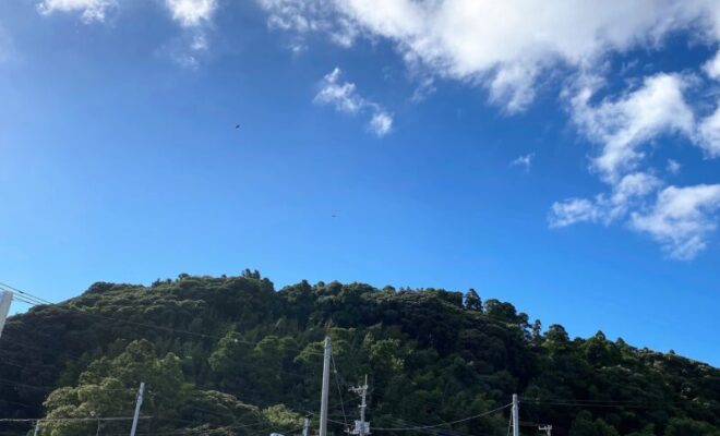 坂田城(千葉県)