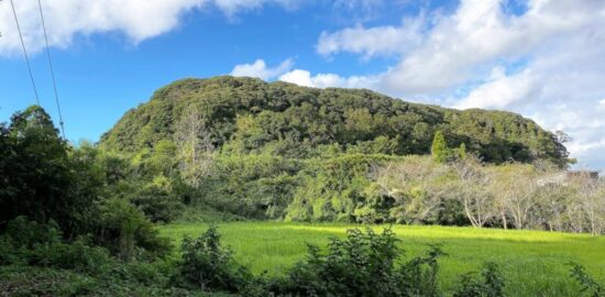 桜井城(千葉県旭市)
