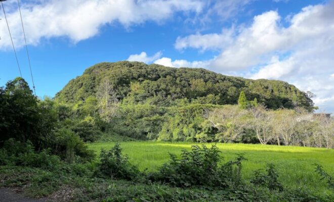 桜井城(千葉県旭市)