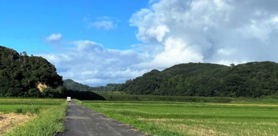 大友城(千葉県)