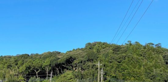 森山城(千葉県香取市)