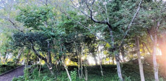 小見川城(千葉県香取市)