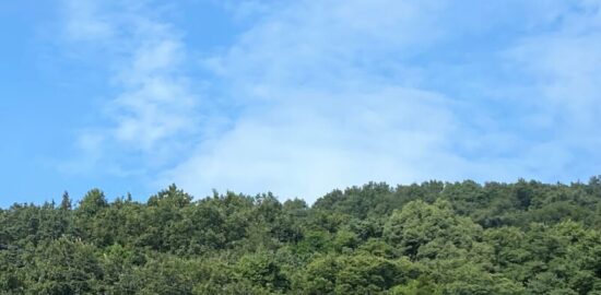 花園城(埼玉県)