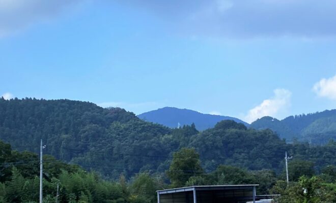 真下城跡(上野国)