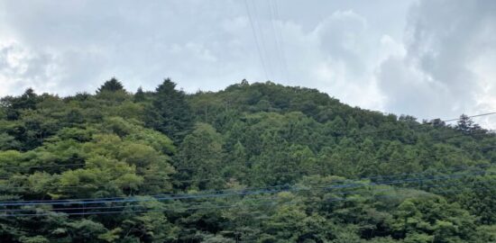 諸城（上野国）