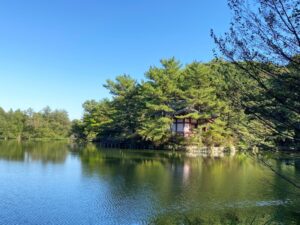 三宝寺池と厳島神社