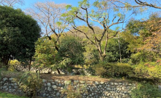 浄福寺城（八王子）