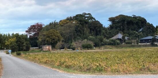 牟呂城（室城） 西尾市