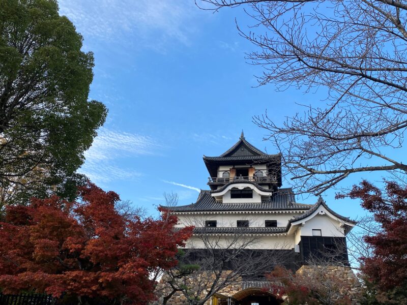 池田恒興~織田信長とは乳兄弟で育ち幼馴染、最古参の家臣となり、長久手にて戦死します。 歴史探索