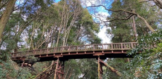 滝山城跡　大堀切と 本丸にかかる木橋（曳橋）