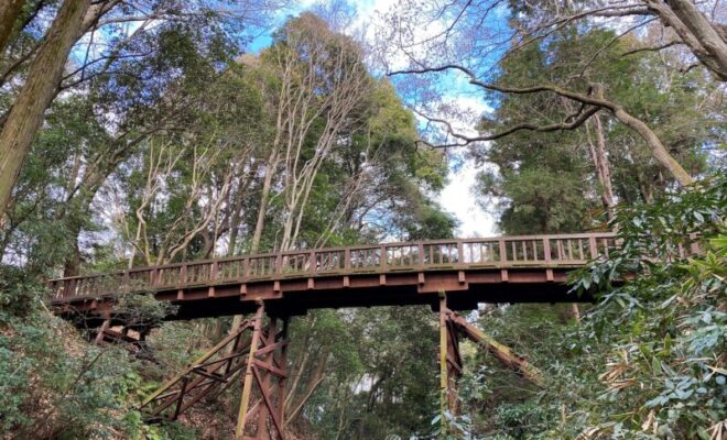 滝山城跡　大堀切と 本丸にかかる木橋（曳橋）