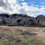 武蔵・戸吹城跡（根小屋城）　遠景