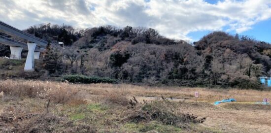武蔵・戸吹城跡(根小屋城) 遠景