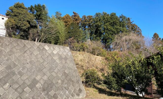武蔵・引田城