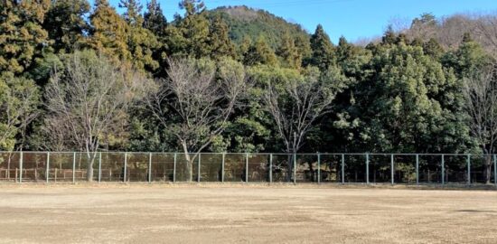 網代城（あきる野市） 遠景