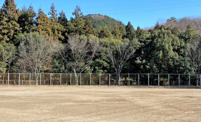 網代城（あきる野市） 遠景