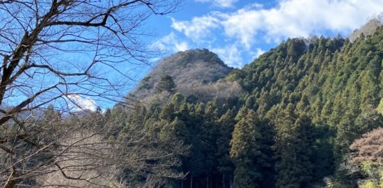 檜原城跡　遠景