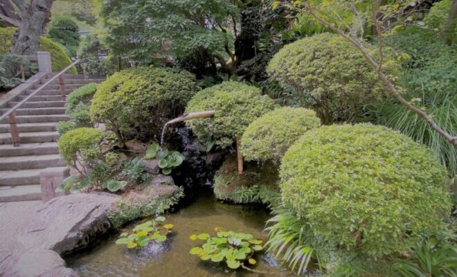 報国寺　池