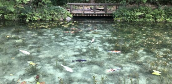 モネの池(岐阜県)