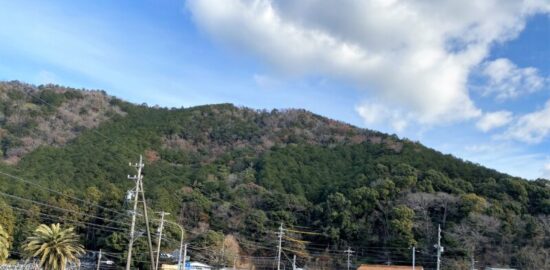 紀伊・長島城(遠景)