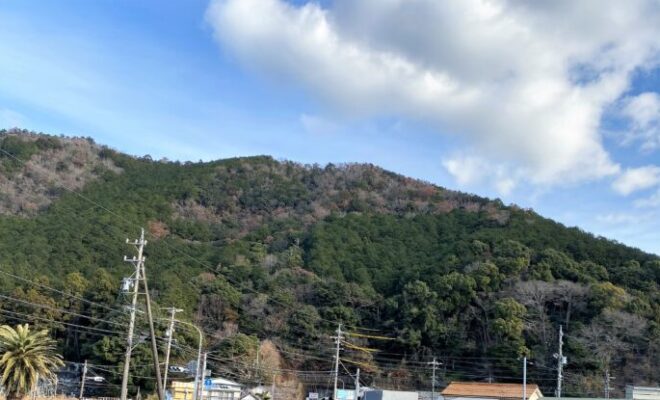 紀伊・長島城(遠景)