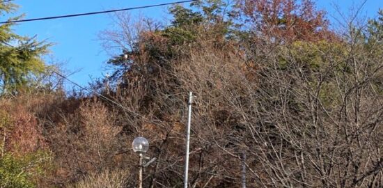 尾鷲・中村山城