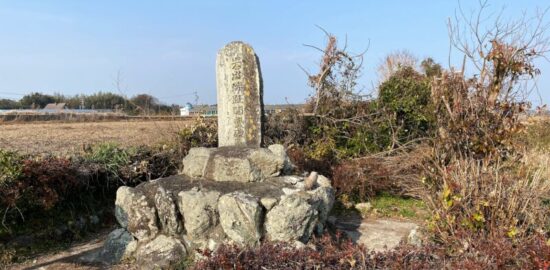 岩出城(三重県)