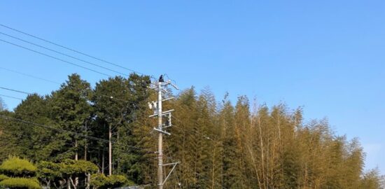 笠木館(三重県)