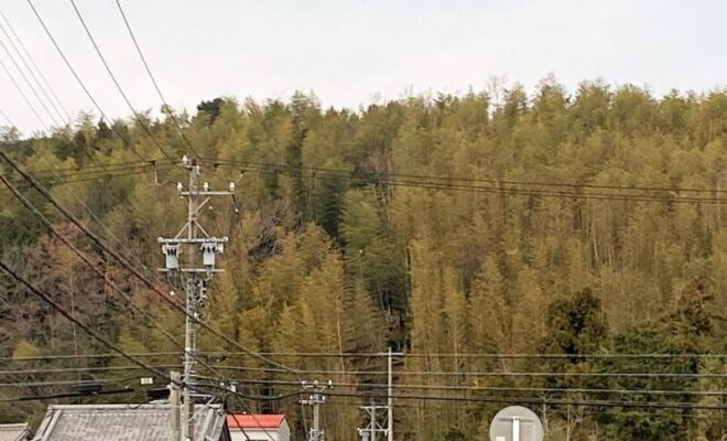 安濃城跡(遠景) 三重県