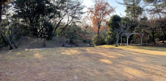 伊勢・上野城　