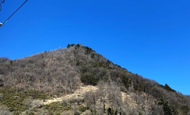 小田野城（小田野山城） 甲斐国