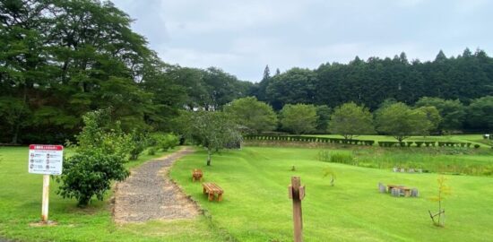 茂木城　城山公園