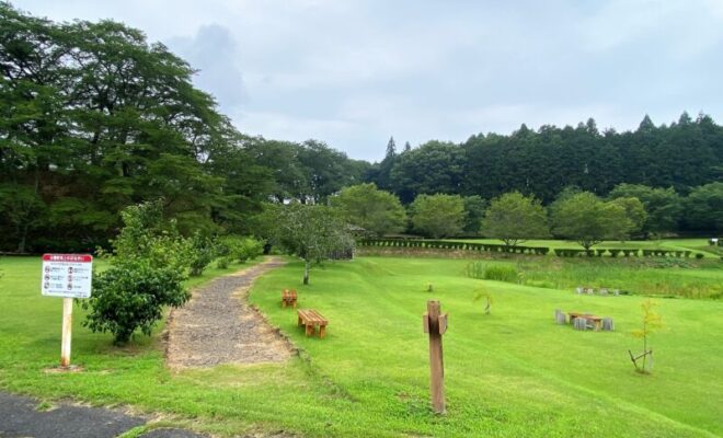 茂木城 城山公園
