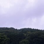 烏山城