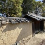 薬師寺 壁