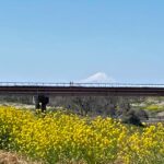河川(江戸川)富士山