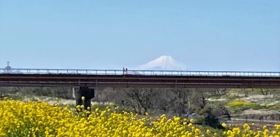河川(江戸川)富士山