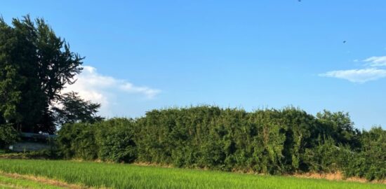 藤岡城(下野国)