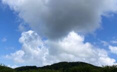 多気城 (常陸国)