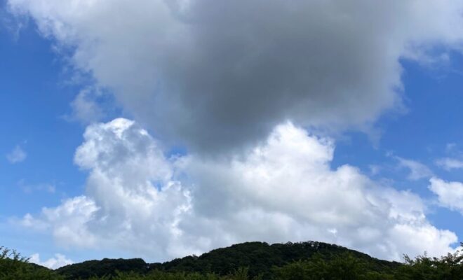 多気城 (常陸国)