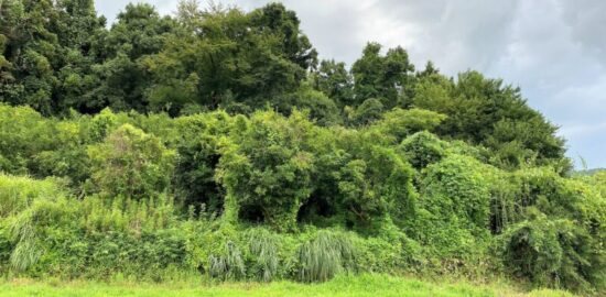 伝・平良兼館(竜ケ井城・竜崖城)