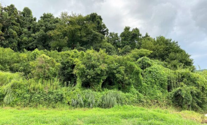 伝・平良兼館(竜ケ井城・竜崖城)