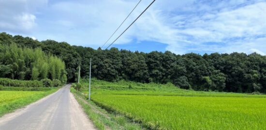 谷貝城(茨城県)