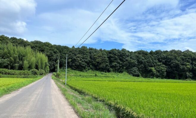 谷貝城(茨城県)