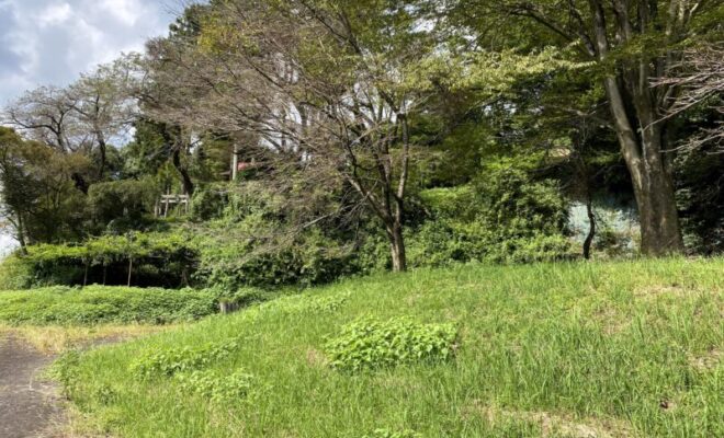 下野・川崎城址