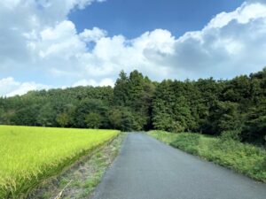 徳次郎城への道